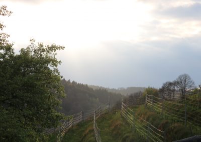 IMG_0623
