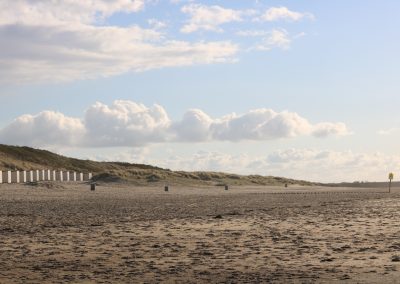 IMG_0780