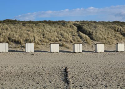 IMG_0803