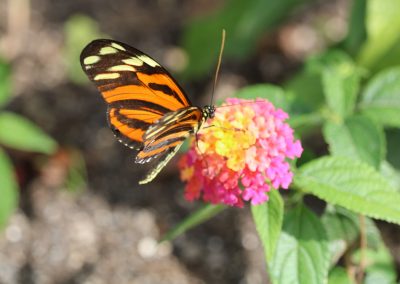 IMG_2823