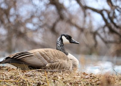 IMG_4207_1200sm